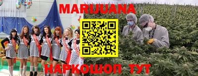 mdpv Владикавказ