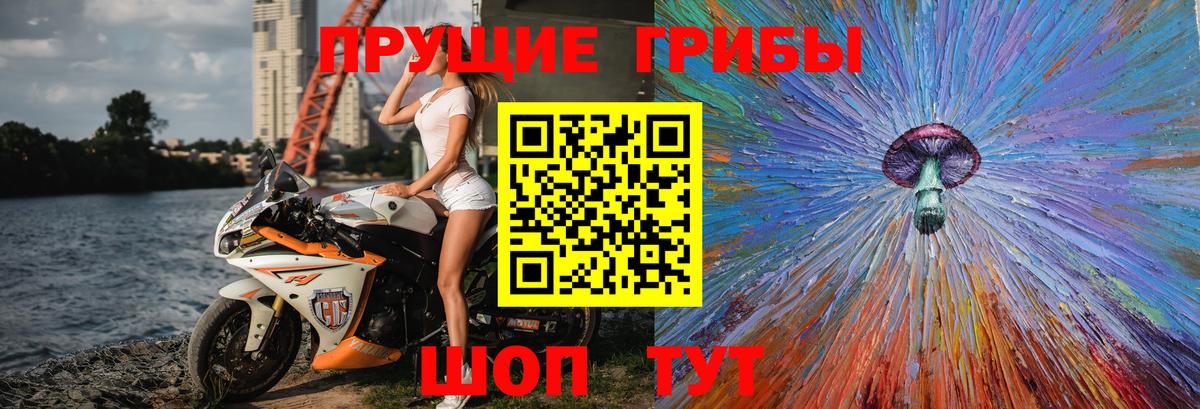 Псилоцибиновые грибы MAGIC MUSHROOMS Губаха