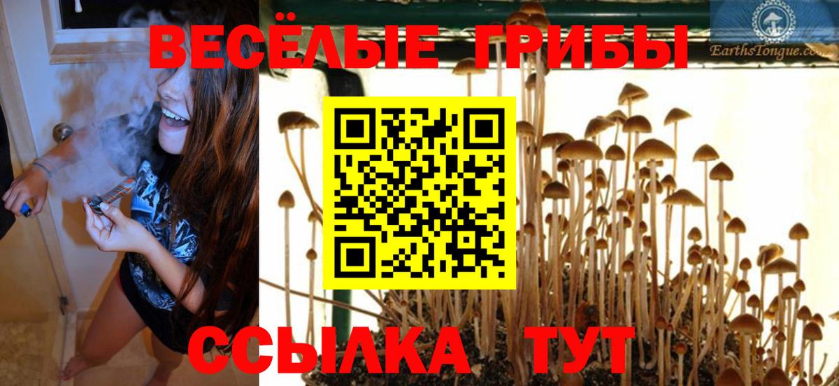 Губаха  Псилоцибиновые грибы Psilocybe  Псилоцибиновые грибы GOLDEN TEACHER  Вход с VPN 